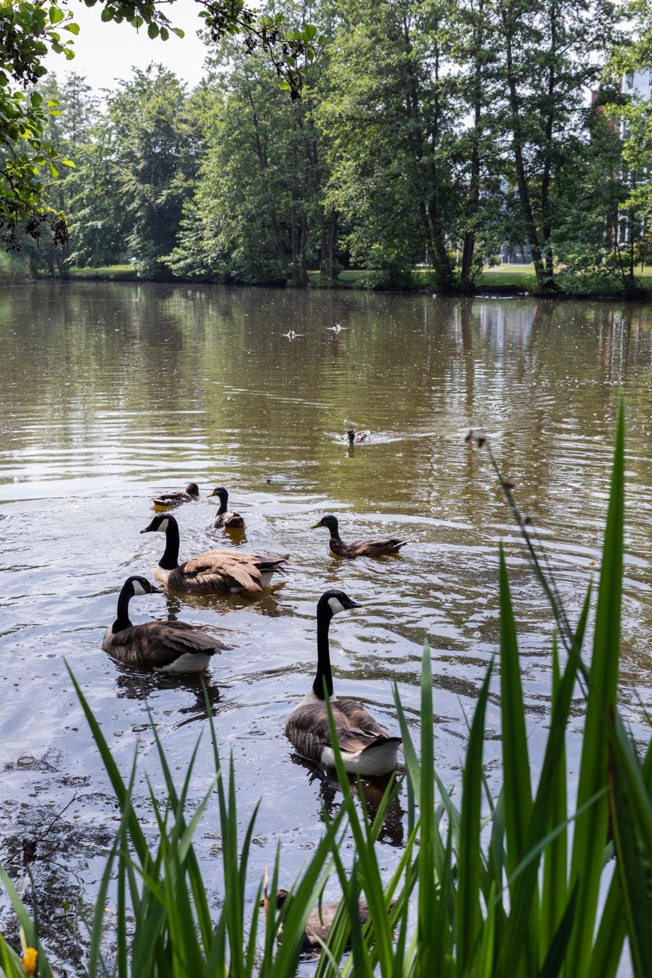 Krefeld-sued Hotel 4*